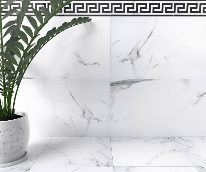 plant against marble background