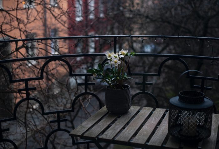 plant pot on table, balcony