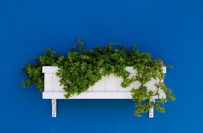 blue garden feature wall ideas