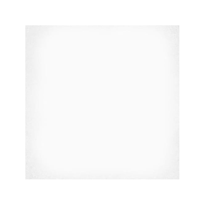 1900 Blanco 20cm x 20cm Floor Tile