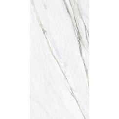 Alpina Marble 60cm x 120cm Wall and Floor Tile