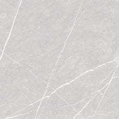 Antigua Silver 80cm x 80cm Floor Tile