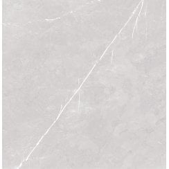Antigua Silver 80cm x 80cm Floor Tile