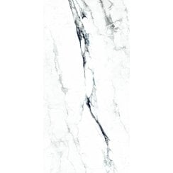 Arrezo Teal Wall & Floor Tile 60cm x 120cm
