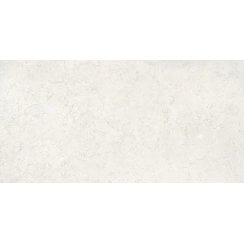 Arty Bone 60cm x 120cm Wall and Floor Tile