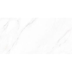 Calacatta Michael Matt 30cm x 60cm Wall and Floor Tile