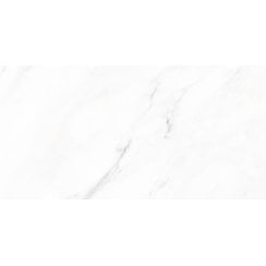 Calacatta Michael Matt 30cm x 60cm Wall and Floor Tile
