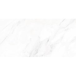 Calacatta Michael Matt 30cm x 60cm Wall and Floor Tile