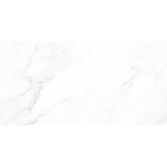Calacatta Michael Matt 60cm x 120cm Wall and Floor Tile
