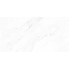 Calacatta Michael Polished 30cm x 60cm Wall and Floor Tile