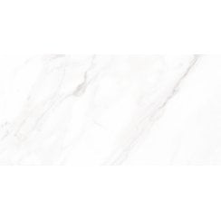 Calacatta Michael Polished 30cm x 60cm Wall and Floor Tile