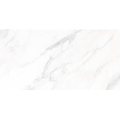 Calacatta Michael Polished 60cm x 120cm Wall and Floor Tile