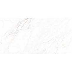Calacatta Michael Polished 60cm x 120cm Wall and Floor Tile