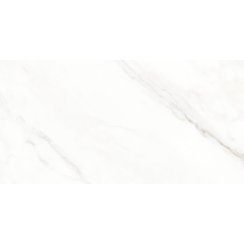 Calacatta Michael Soft Matt 60cm x 120cm Wall & Floor Tile