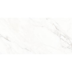Calacatta Michael Soft Matt 60cm x 120cm Wall & Floor Tile
