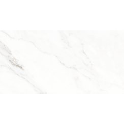 Calacatta Michael Soft Matt 60cm x 120cm Wall & Floor Tile