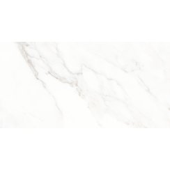 Calacatta Michael Soft Matt 60cm x 120cm Wall & Floor Tile
