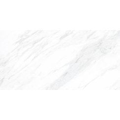 Carrara Classico Matt 30cm x 60cm Wall and Floor Tile