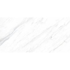 Carrara Classico Matt 30cm x 60cm Wall and Floor Tile