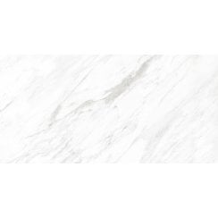 Carrara Classico Matt 30cm x 60cm Wall and Floor Tile