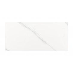 Carrara Gloss 25cm x 50cm Wall Tile