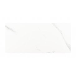 Carrara Gloss 25cm x 50cm Wall Tile