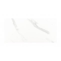 Carrara Gloss 25cm x 50cm Wall Tile