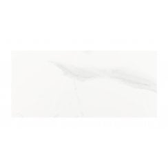 Carrara Gloss 25cm x 50cm Wall Tile