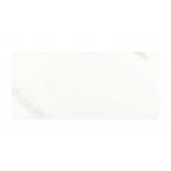 Carrara Gloss 25cm x 50cm Wall Tile