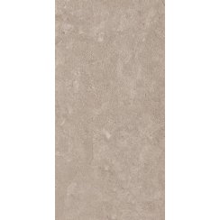 Coralstone Buff Brown 60cm x 120cm Wall & Floor Tile