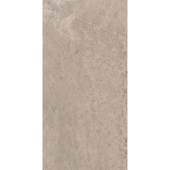 Coralstone Buff Brown 60cm x 90cm Wall & Floor Tile
