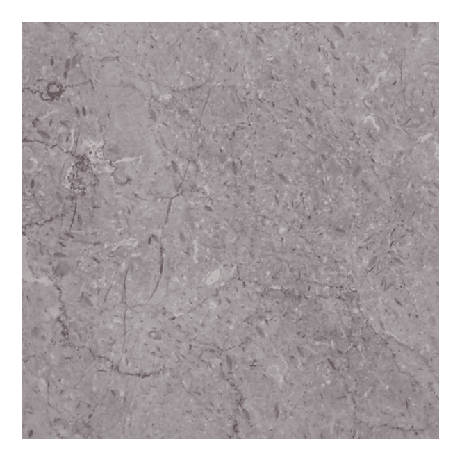 Costa Gris 30cm x 30cm Floor Tile