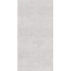 Earding Grey R10 60cm x 120cm Wall & Floor Tile