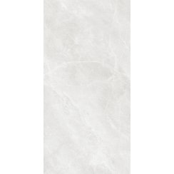 Essa Bianco 60cm x 120cm Wall and Floor Tile