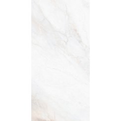 Flora Marble Wall & Floor Tile 60cm x 120cm