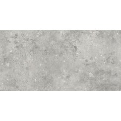 Florys Light Grey Matt 59.8cm x 119.8cm Wall and Floor Tile