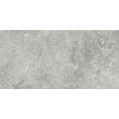 Florys Light Grey Matt 59.8cm x 119.8cm Wall and Floor Tile