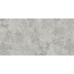 Florys Light Grey Matt 59.8cm x 119.8cm Wall and Floor Tile