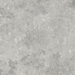 Florys Light Grey Matt 59.8cm x 59.8cm Wall and Floor Tile