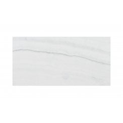 Fossil Grey 25cm x 50cm Wall Tile