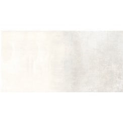 Hemisphere Platinum 60cm x 120cm Wall and Floor Tile