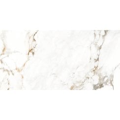 Holland Ice Polished Wall & Floor Tile 60cm x 120cm