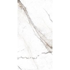 Invisible Marble Gloss Porcelain 30cm x 60cm Wall & Floor Tile