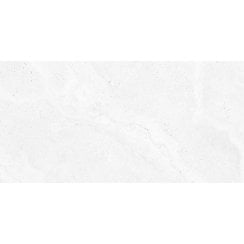 Keith Polar 60cm x 120cm Wall and Floor Tile