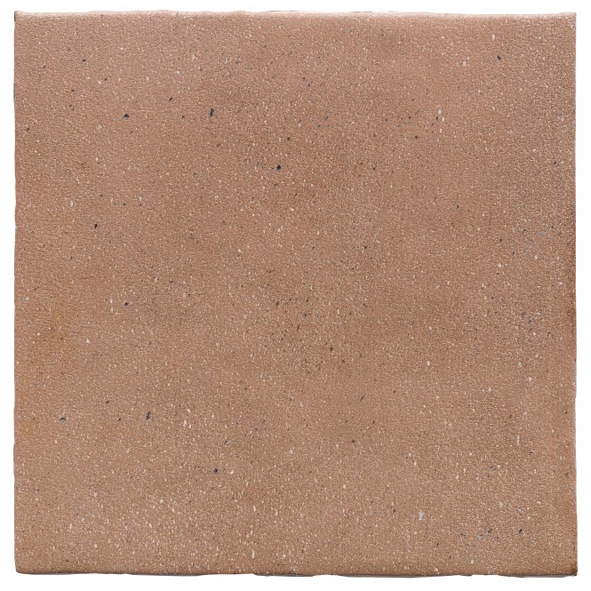 Lands Loees 22.5cm x 22.5cm Wall and Floor Tile