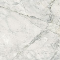 Leonardo White Carving 60cm x 60cm Wall and Floor Tile