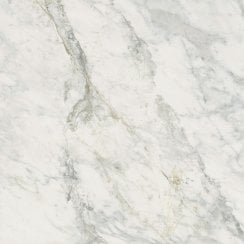 Leonardo White Carving 60cm x 60cm Wall and Floor Tile
