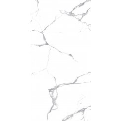 Lucido Satvario Marble-Effect 60cm x 120cm Wall and Floor Tile