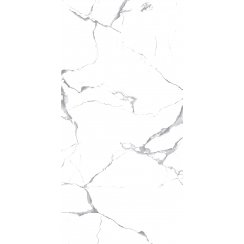 Lucido Satvario Marble-Effect 60cm x 120cm Wall and Floor Tile