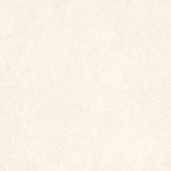 Padova Bone 120cm x 120cm Floor Tile